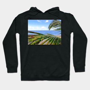 Palm Tree Leaves on a Tropical Beach Hoodie